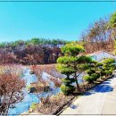 야산농장 이미지