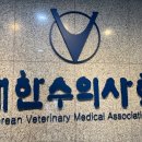 로얄말전문병원 데일리벳