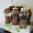 건강이농장 이미지