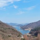 대성목장 | [충주] 주말 서울근교 충주호 당일치기 여행 코스 추천 🚗 (feat. 충주호 종댕이길 트레킹, 게으른 악어...