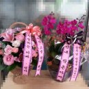 OK식물원 이미지