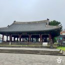 관덕정에서 오현단까지, 역사와 자연을 걷는 제주시 원도심 탐방길 이미지