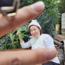 배꼽농원 이미지