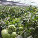 충의농장 이미지