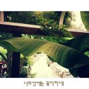 산에는 꽃이피네민박 이미지