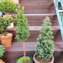 다목농장 이미지