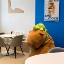 광안4-205 | 광안리 오션뷰 카페 갈매기샌드 광안점 솔직후기 (주차가능)