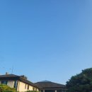 용인 기흥 코리아CC 11월 3부 라운딩 후기. 크리크코스 - 레이크코스 공략