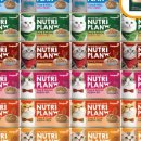 도그플랜 이미지