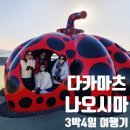 자매의하루 | 일본 다카마츠 나오시마, 네 자매의 감성 소도시 여행기