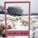 갯골생태공원(소금창고) 이미지