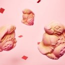골드래빗(GOLD RABBIT)