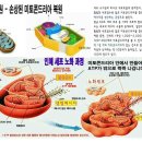 빅에이치