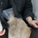 유스동물병원 이미지