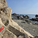 포항시남구장기면양포보건진료소 | 2026.02.18 해파랑길 11~12코스