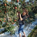 동문농장 이미지