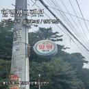 [남양주시/수동] 대성리 단체모임 하기 좋은 대형펜션 힐링캠프펜션 후기