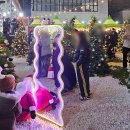 눈꽃 | 2025 울산 성남동 눈꽃축제 후기 축제 일정 눈 내리는 시간