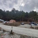 다온공인행정사 이미지