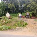 사정119안전센터 이미지