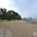아암도해안공원 Daum카페