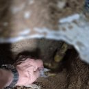 대동아파트 이미지