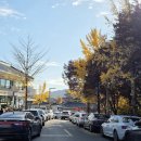 김남일의원 이미지