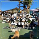 영화마을신당점 | 대부도 아이와 갈만한 곳!! 고양이역 방문 솔직 후기 :)