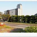 솔무인텔 이미지