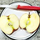 햇빛촌 농원 이미지