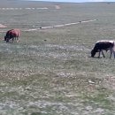 둥지식당 이미지