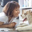 부산펫(주) 이미지