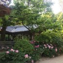 계영당 민박 이미지