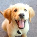 더리터순천연향점 이미지