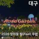 필(feel) | [대구/달서구] 2026 장미꽃 필(Feel) 무렵 축제 참가후기