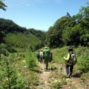 품걸리오지마을길(봄내길 6코스) 이미지