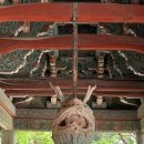 경주 여행 필수 코스 불국사 관람 후기 (입장 시간, 감성 포토존)