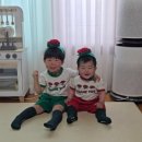 남양주 꽃집 카네이션은 미스플라워 어버이날 꽃선물 후기