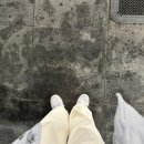 덕질일기-5(부산콘서트 후기)
