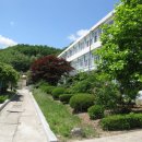 안덕중학교 이미지