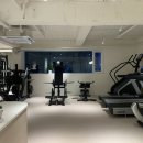 더 핏 하이브(The Fit Hive) 이미지