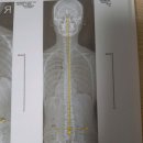 세찬재활의학과의원 이미지