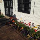 달빛되어 이미지