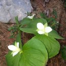 복 농장 이미지