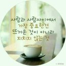 이리로 이미지