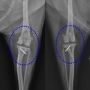 백두 동물병원 이미지