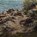 용인한의원 이미지