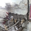 바로크설비 이미지