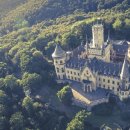 행복한개 이미지