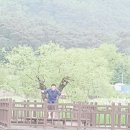 새마을자동차 이미지